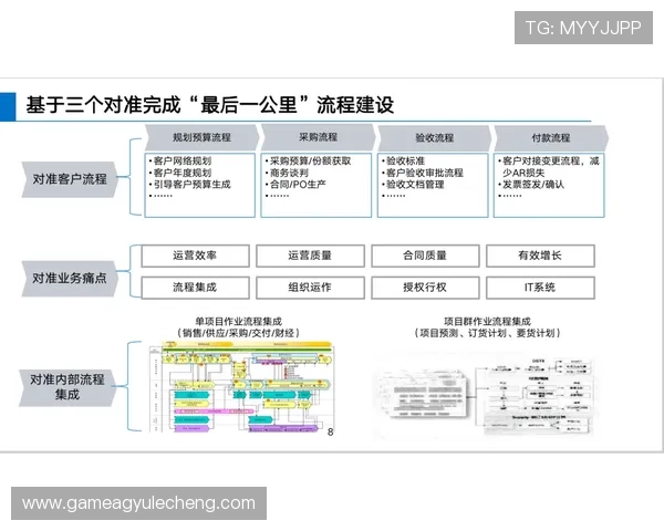 ag视迅官网提供的技术支持与客户服务详细流程介绍